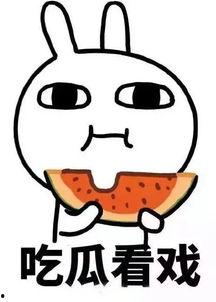 娱乐吃瓜酱饿了么,揭秘美食与娱乐的完美融合